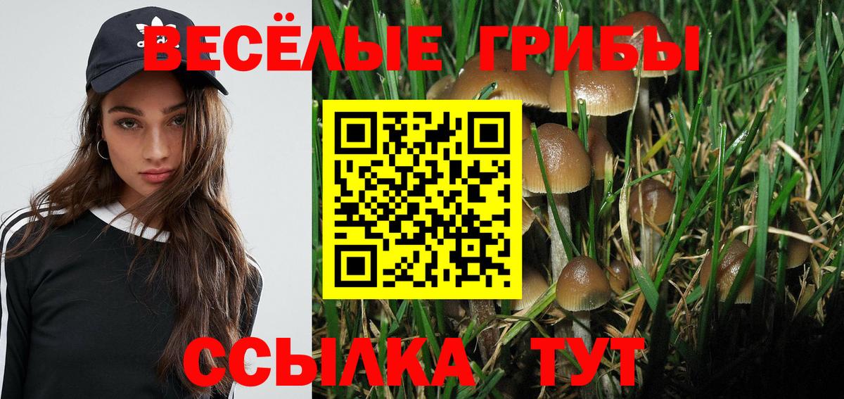 Галлюциногенные грибы мицелий  Галлюциногенные грибы MAGIC MUSHROOMS  Вход с VPN  Дзержинский 